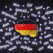 Menschen A1.1 [Arabisch und Englisch]
