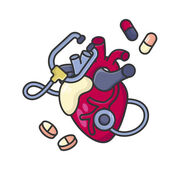 Fundamentals of Disease and Treatment