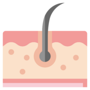 99. Derma