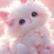 PA 564 Women's Health