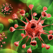 Médicaments anti-infectieux I