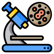 DMV1101-Histologie