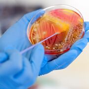 Microbiología