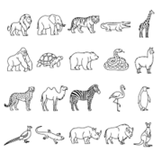 exotic and lab animals