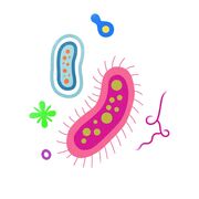 Mikrobiologi