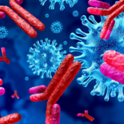 Immunologie vétérinaire - DMV 2121