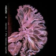 Neuropsychologie humaine