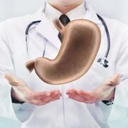 1.7 Gastro cpy