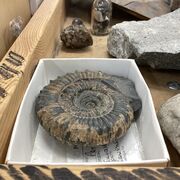 Environmental Science A Level