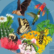 Comp.1 - Populations And Ecosystems