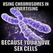 🧬Genetics🧬