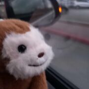 Culture and Psychology