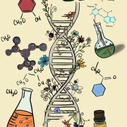 BIO MOL S1
