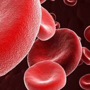 Módulo 3.4 - Hematologia