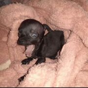 HABILIDADES PARA LA VIDA