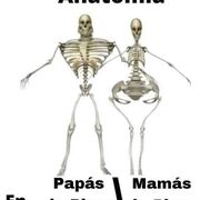 Anato Clínica :)