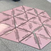 Alevel Biology (OCR)