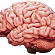 AP Psychology