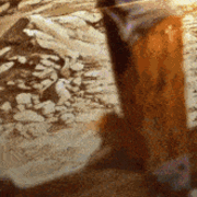 A level Religious studies (Year 2)