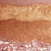 Soil Science