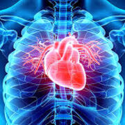 Cardiologia