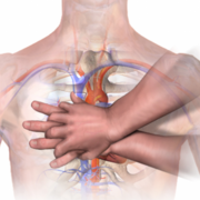 Habilidades Médicas II