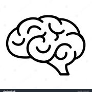 Psycho physiologique