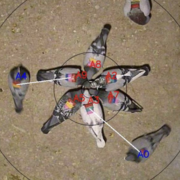 Bioinspired systems