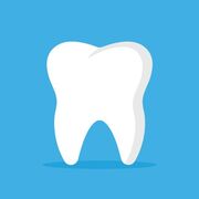 D1 Fall Dental Morph