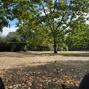 ADVANCED HIGHER BIOLOGY