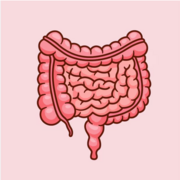 Gastroenterología