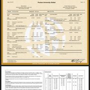 Corp. & Business Org. II