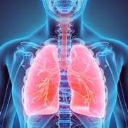 PNEUMOLOGIA