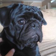 Spanish Things, blah blah blah blah blah blah blah blah blah blah blah blah blah blah blah blah blah blah