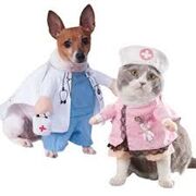 Adv. Nursing 227