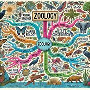 Reproducción, Ontigenia y Morfología