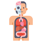 Anatomy & Physiology