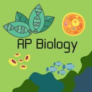 AP Biology