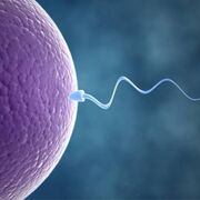Science of Reproduction
