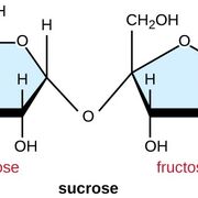 AQA A Level Biology - Topics 1 & 2