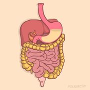 Internal Medicine - GIT
