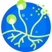 Biologia Microbiana II