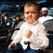 LA MAQUINA FORNICADORA