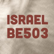 BE503 - Israel Study