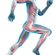 Traumatologie du sport 2025