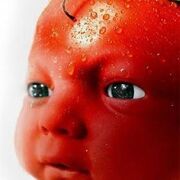 Geography in everyday life😢