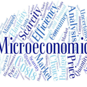 Microeconomics Y2 - Theme 3