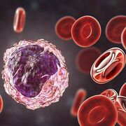 MIDTERMS MTAP - ISBB