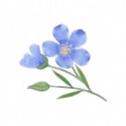 Sat 12.00 C2 Language Development