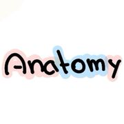 Anatomie